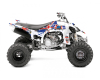 KIT DECO QUAD BRI 1