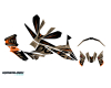 KIT DECO KTM DUKE / SUPERDUKE DESERT 2