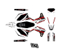KIT DECO SHERCO RACE BLANCHE SE / SE-F 2