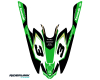 KIT DECO JETSKI KAWASAKI TOM 1