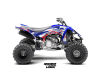 Kit déco quad Yfz-R FRANCE 1