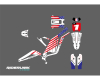 KIT DECO SUR-RON USA 2