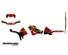 KIT DECO QUAD POLARIS LAND RED 2