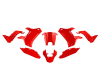 Kit plastique Rtech Revolution Rouge 1