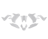 Kit plastique Rtech Revolution Blanc 1