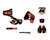 KIT DECO MOTOCROSS CR RSL 1