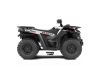 KIT DECO QUAD SEGWAY KRYO WHITE 1