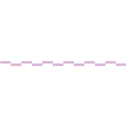 Rider Unik